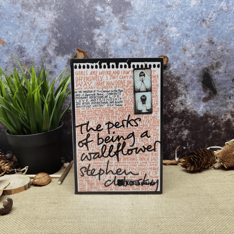 The Perks of being a wallflower รูปที่ 1