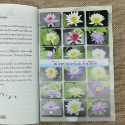 ปลูกต้นไม้ตามราศี เสริมบารมี โชคลาภ ร่ำรวย - ปนศวรรณ ปราโมช รูปที่ 12