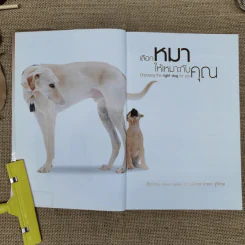 เลือกหมาให้เหมาะกับคุณ Choosing the right dog for you รูปที่ 6