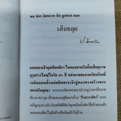 เสือหลุด ป.อินทรปาลิต รูปที่ 8