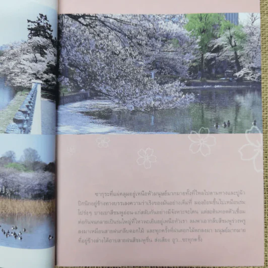 Japan Journal Journey เจแปน เจอนั่น เจอนี่ รูปที่ 11