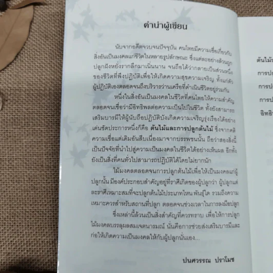 ปลูกต้นไม้ตามราศี เสริมบารมี โชคลาภ ร่ำรวย - ปนศวรรณ ปราโมช รูปที่ 8