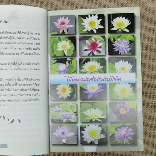 ปลูกต้นไม้ตามราศี เสริมบารมี โชคลาภ ร่ำรวย - ปนศวรรณ ปราโมช รูปที่ 12