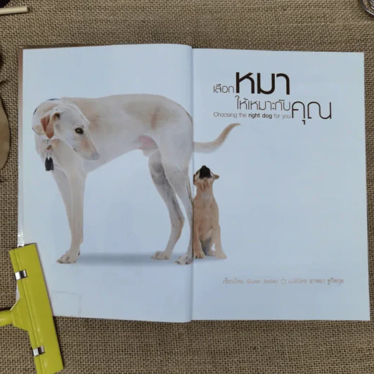 เลือกหมาให้เหมาะกับคุณ Choosing the right dog for you รูปที่ 6
