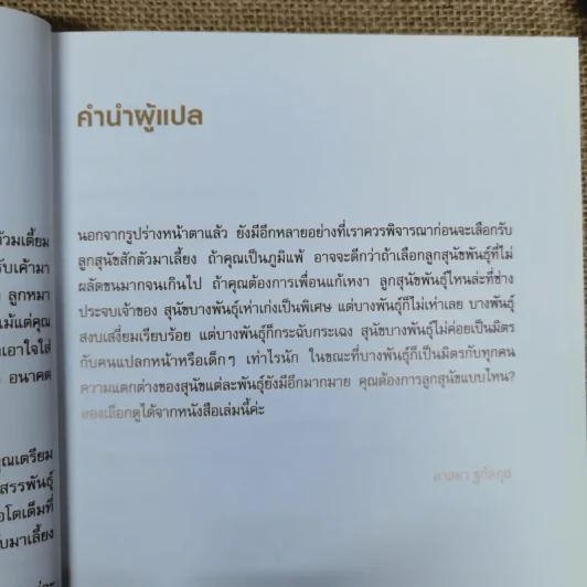 เลือกหมาให้เหมาะกับคุณ Choosing the right dog for you รูปที่ 8
