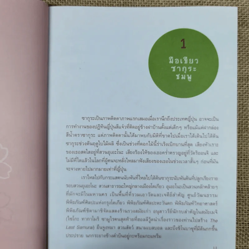 Japan Journal Journey เจแปน เจอนั่น เจอนี่ รูปที่ 10
