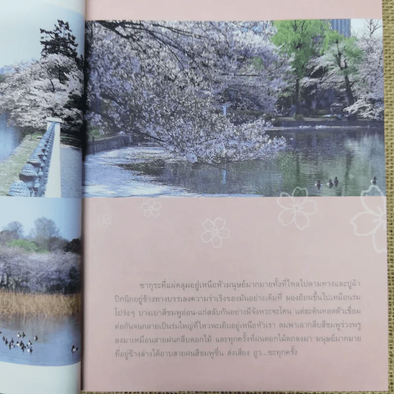 Japan Journal Journey เจแปน เจอนั่น เจอนี่ รูปที่ 11