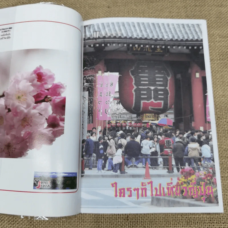 ใครๆก็ไปเที่ยว ญี่ปุ่น Japan รูปที่ 5