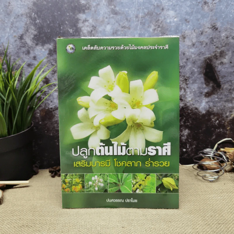 ปลูกต้นไม้ตามราศี เสริมบารมี โชคลาภ ร่ำรวย - ปนศวรรณ ปราโมช รูปที่ 1