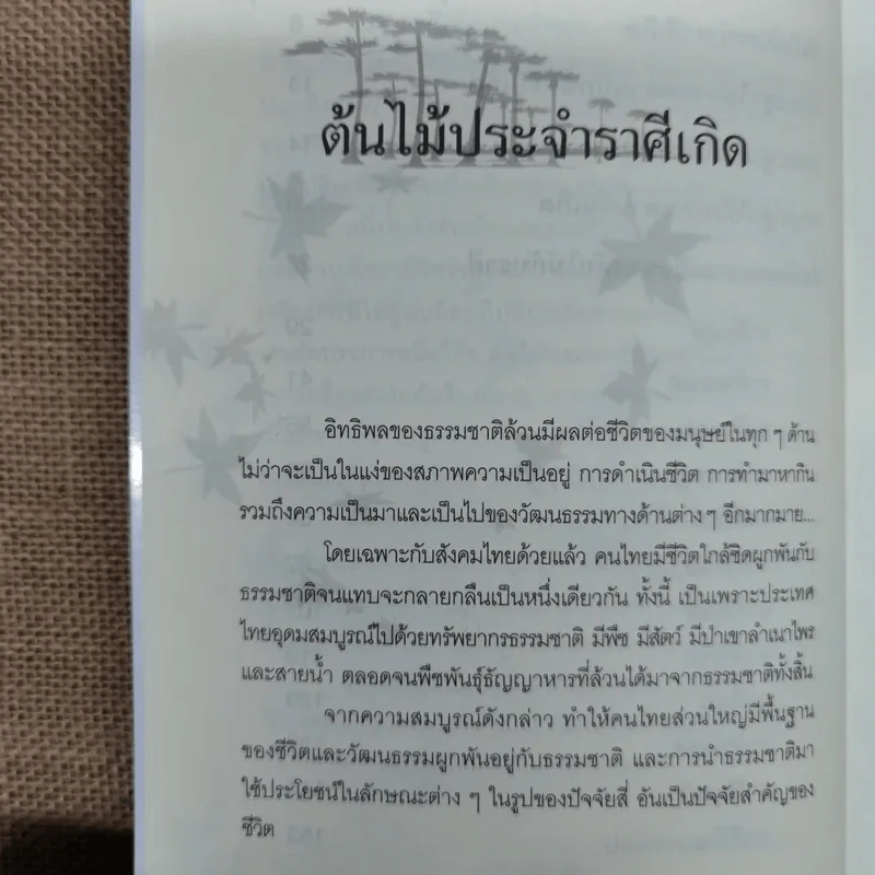 ปลูกต้นไม้ตามราศี เสริมบารมี โชคลาภ ร่ำรวย - ปนศวรรณ ปราโมช รูปที่ 10