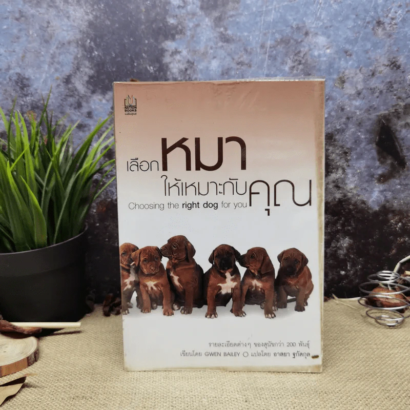 เลือกหมาให้เหมาะกับคุณ Choosing the right dog for you รูปที่ 1