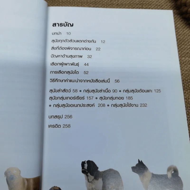 เลือกหมาให้เหมาะกับคุณ Choosing the right dog for you รูปที่ 9