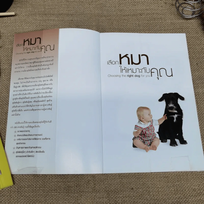 เลือกหมาให้เหมาะกับคุณ Choosing the right dog for you รูปที่ 5