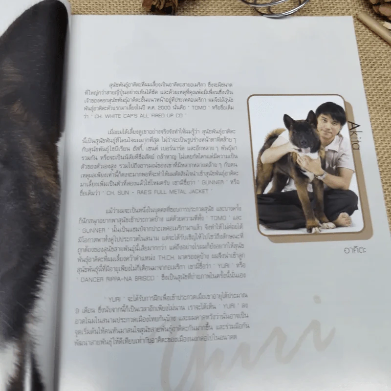 Dogs In The Book 32 หมาที่คนอยากอวด รูปที่ 11