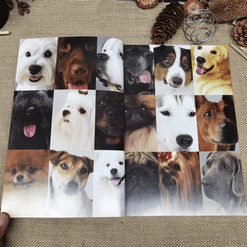 Dogs In The Book 32 หมาที่คนอยากอวด รูปที่ 10