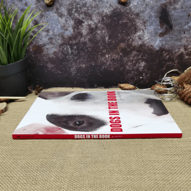 Dogs In The Book 32 หมาที่คนอยากอวด รูปที่ 2