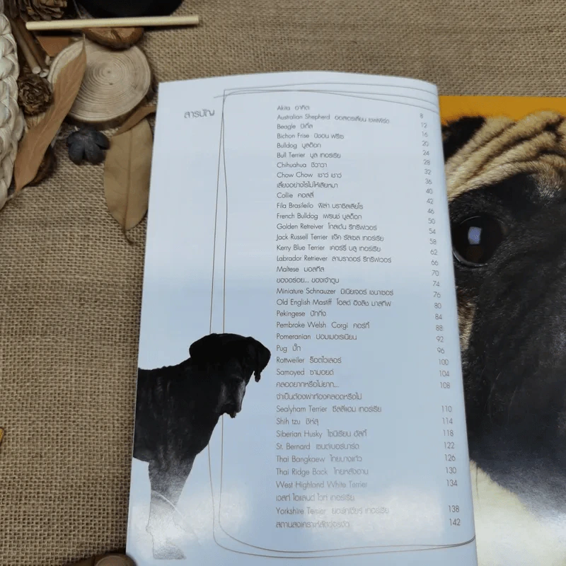 Dogs In The Book 32 หมาที่คนอยากอวด รูปที่ 8