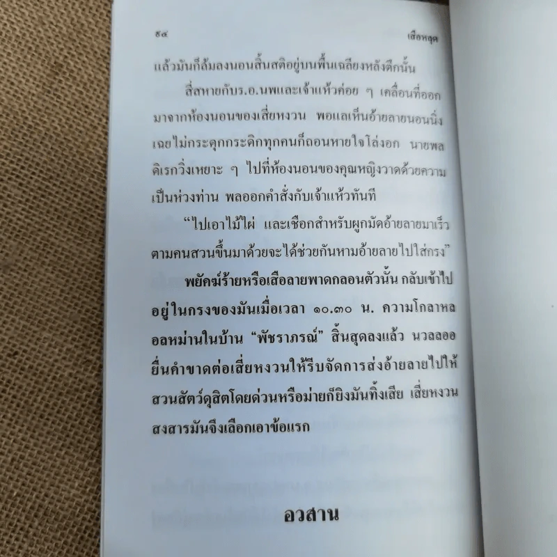 เสือหลุด ป.อินทรปาลิต รูปที่ 9