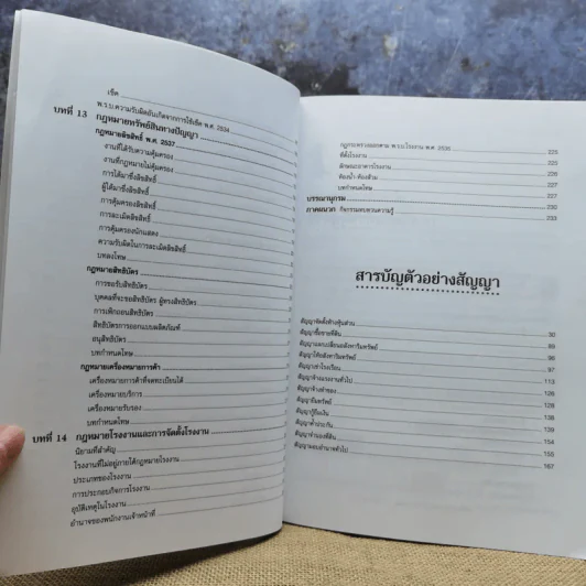 กฎหมายธุรกิจเพื่อความมั่นใจในการดำเนินธุรกิจ - รองศาสตราจารย์สมคิด บางโม รูปที่ 12