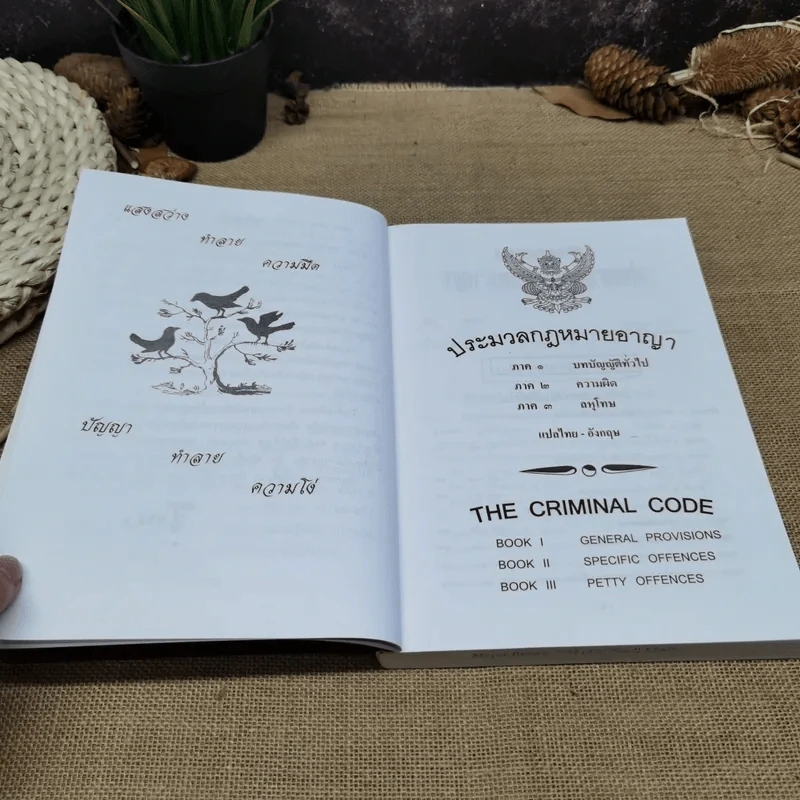 ประมวลกฎหมายอาญา แปลไทย-อังกฤษ ใหม่ (ฉบับที่ 21) 2551 - พิจารณ์โดย นายบุญร่วม เทียมจันทร์ รูปที่ 10