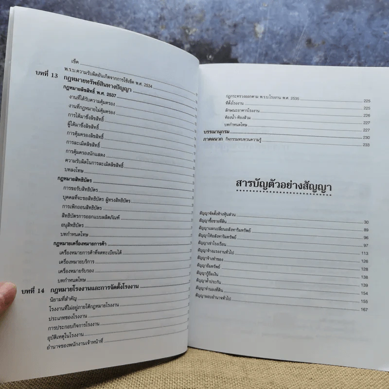 กฎหมายธุรกิจเพื่อความมั่นใจในการดำเนินธุรกิจ - รองศาสตราจารย์สมคิด บางโม รูปที่ 12
