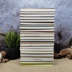 เซ็ตหนังสือของริวโฮ โอคาวาขายรวม 23 เล่ม รูปที่ 4