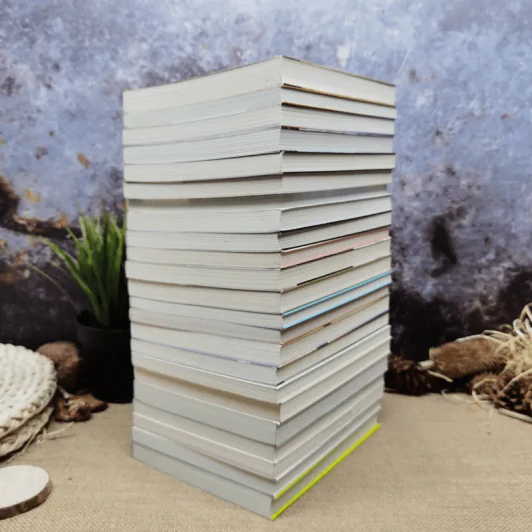 เซ็ตหนังสือของริวโฮ โอคาวาขายรวม 23 เล่ม รูปที่ 3