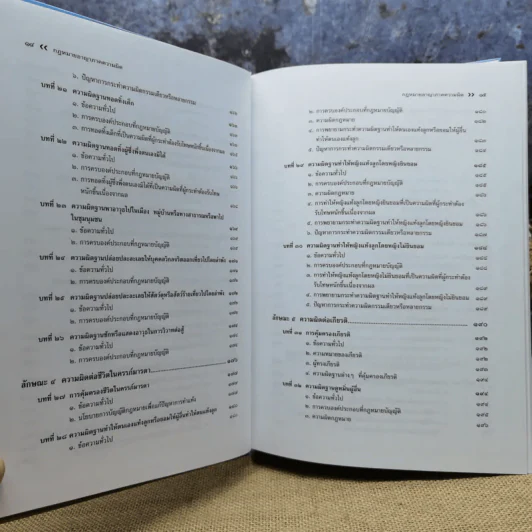 กฎหมายอาญา ภาคความผิด - ศาสตราจารย์ดร.คณิต ณ นคร รูปที่ 13