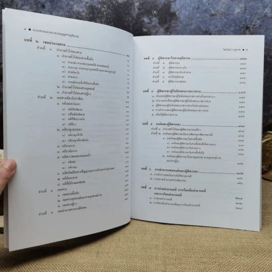 คำอธิบายระบบศาลและพระธรรมนูญศาลยุติธรรม - ไพโรจน์ วายุภาพ รูปที่ 9