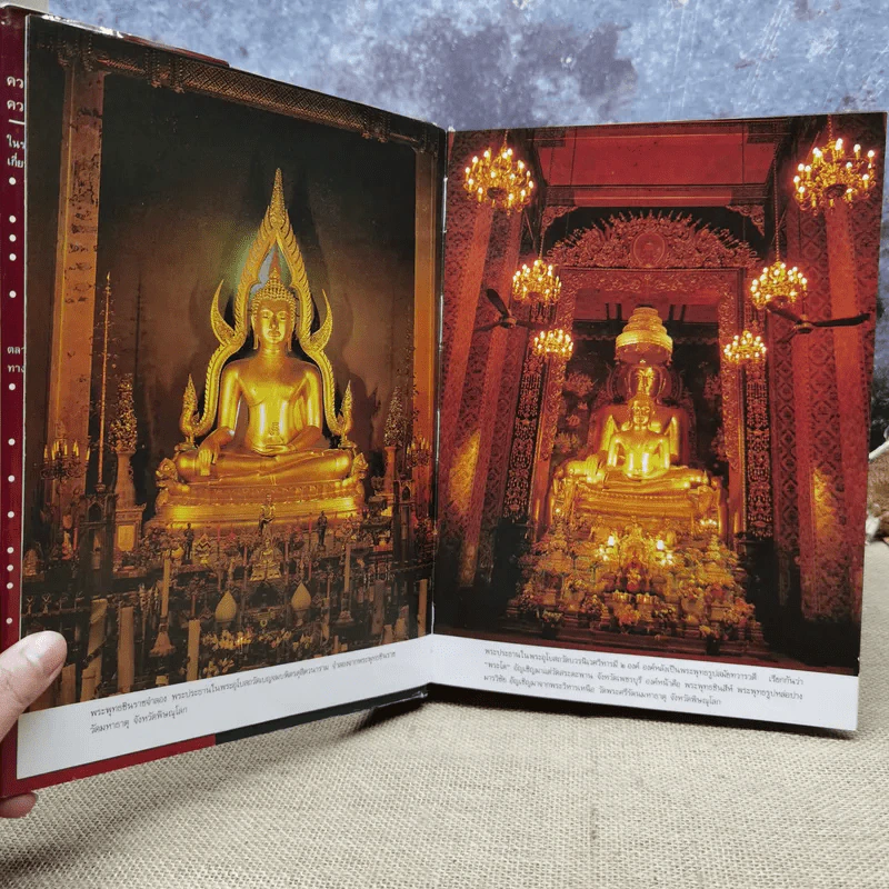 ตลาดการเงินในประเทศไทย - ชนินทร์ พิทยาวิวิธ รูปที่ 10