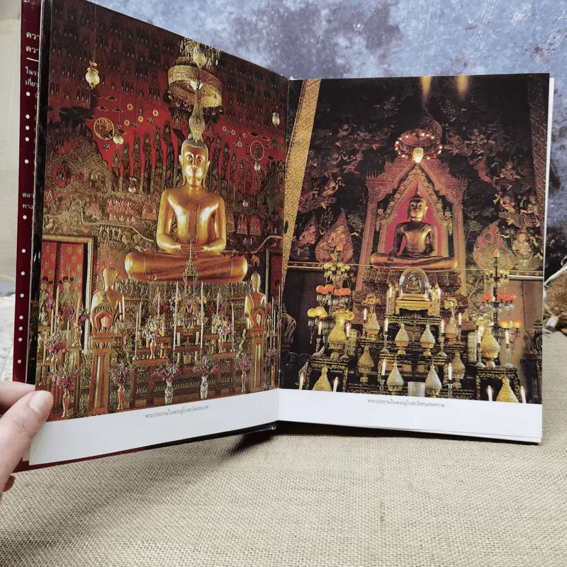 ตลาดการเงินในประเทศไทย - ชนินทร์ พิทยาวิวิธ รูปที่ 12