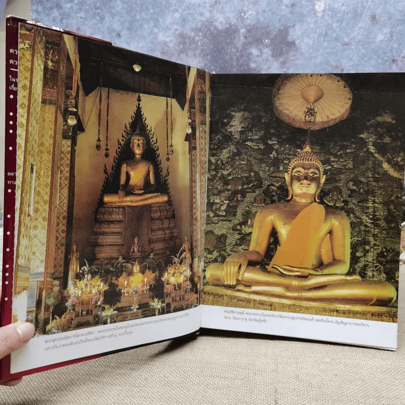 ตลาดการเงินในประเทศไทย - ชนินทร์ พิทยาวิวิธ รูปที่ 9