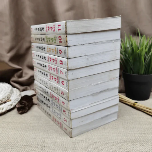 มังกรคู่สู้สิบทิศ (ภาคสมบูรณ์) 11 เล่มจบ รูปที่ 3