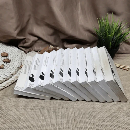 มังกรคู่สู้สิบทิศ (ภาคสมบูรณ์) 11 เล่มจบ รูปที่ 15