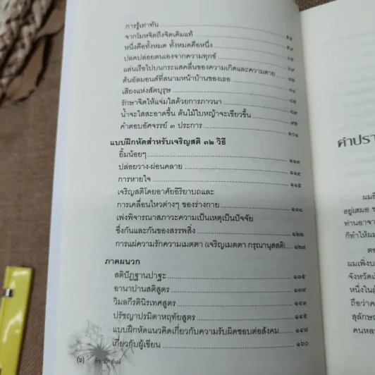ปาฏิหาริย์แห่งการตื่นอยู่เสมอ - ติช นัท ฮันห์ รูปที่ 7