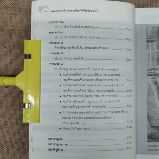 พระภรรยาเจ้าและสมเด็จเจ้าฟ้า ในรัชกาลที่ 5 - นายแพทย์จิรวัฒน์ อุตตมะกุล รูปที่ 17