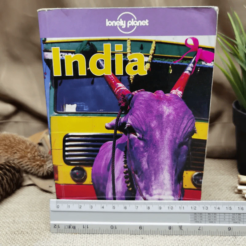 India - lonely planet รูปที่ 2