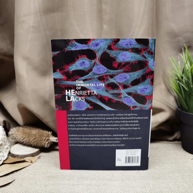 Henrietta Lacks ฮีลา เซลล์อมตะ รูปที่ 4