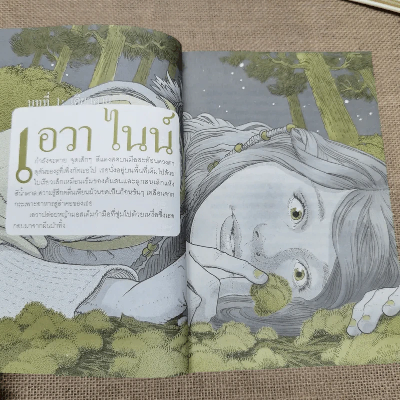 The Search For Wondla ตามล่าหาวันด์ลา - Tony Diterlizzi เขียน, การะเกด แปล รูปที่ 14