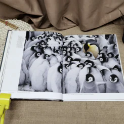 National Geographic ฉบับพิเศษสุดเพื่อนักสะสม 100 ภาพยอดเยี่ยม รูปที่ 12