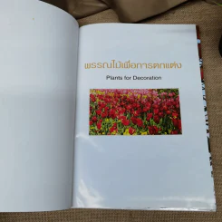 พรรณไม้เพื่อการตกแต่ง Plants For Decoration - รองศาสตราจารย์พรรณเพ็ญ ฉายปรีชา รูปที่ 7