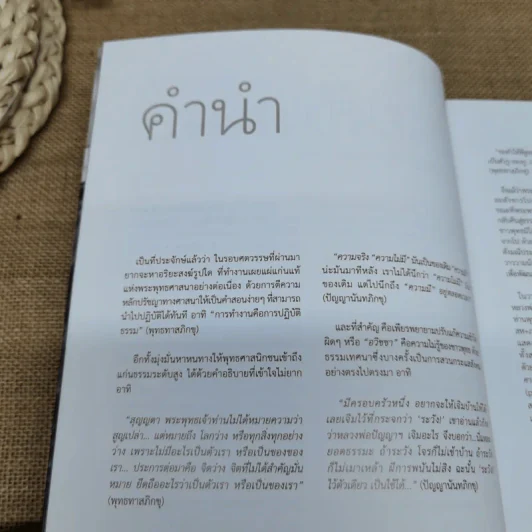 พิศเจริญ อัลบั้มภาพและอมตธรรมแห่งสองศรีพระศาสนา รูปที่ 10