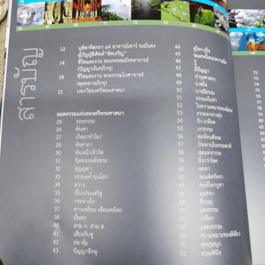 พิศเจริญ อัลบั้มภาพและอมตธรรมแห่งสองศรีพระศาสนา รูปที่ 12