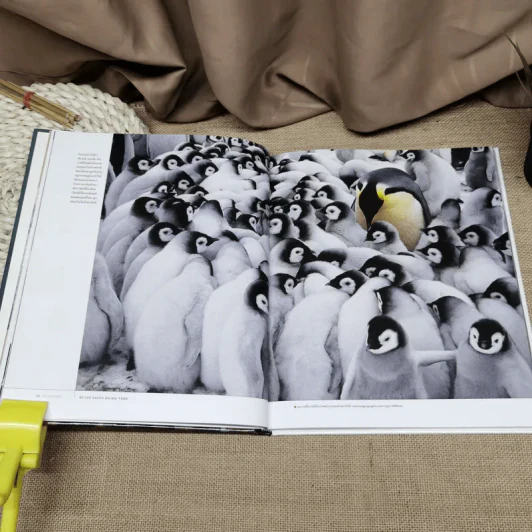 National Geographic ฉบับพิเศษสุดเพื่อนักสะสม 100 ภาพยอดเยี่ยม รูปที่ 12