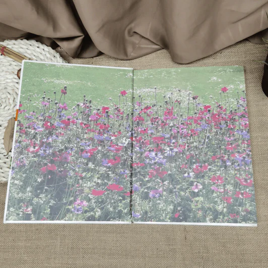 พรรณไม้เพื่อการตกแต่ง Plants For Decoration - รองศาสตราจารย์พรรณเพ็ญ ฉายปรีชา รูปที่ 6
