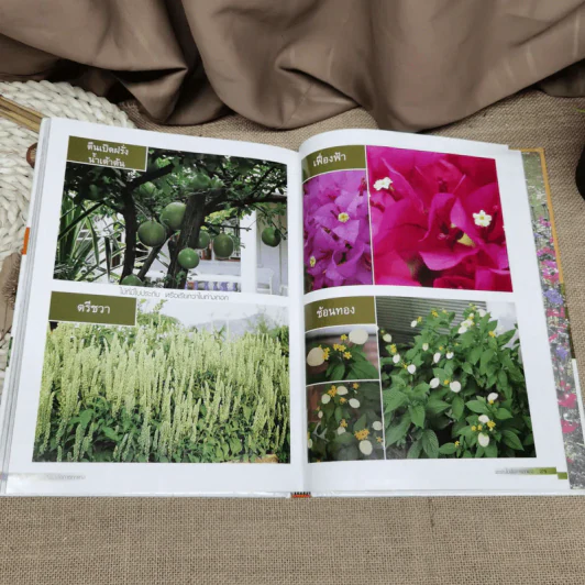 พรรณไม้เพื่อการตกแต่ง Plants For Decoration - รองศาสตราจารย์พรรณเพ็ญ ฉายปรีชา รูปที่ 16