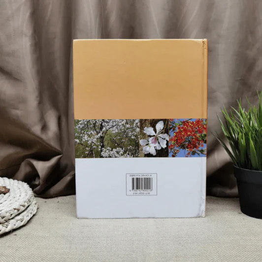 พรรณไม้เพื่อการตกแต่ง Plants For Decoration - รองศาสตราจารย์พรรณเพ็ญ ฉายปรีชา รูปที่ 4