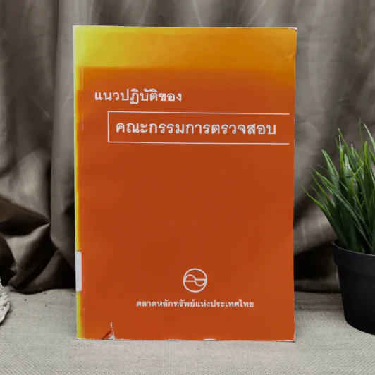 แนวปฏิบัติของคณะกรรมการตรวจสอบ - ตลาดหลักทรัพย์แห่งประเทศไทย รูปที่ 1