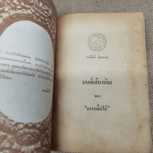 มนต์เสียงพิณ - แพรเยื่อไม้ รูปที่ 5