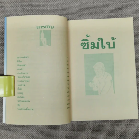 ซิ้มใบ้ - ประภัสสร เสวิกุล รูปที่ 9